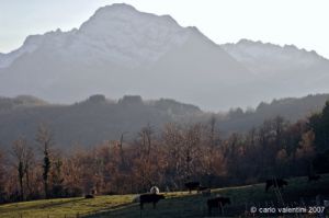 giuncugnano40