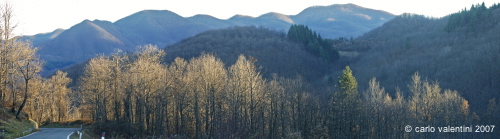 giuncugnano45