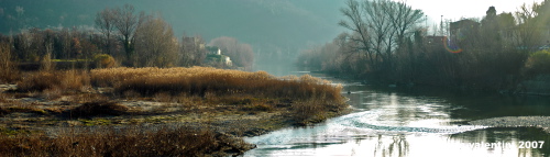 le_sieci4