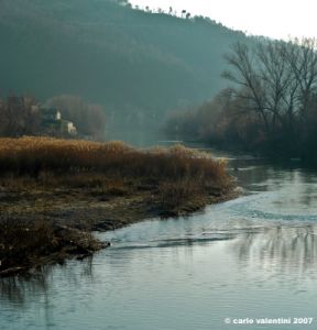 le_sieci5