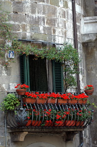 lucca014