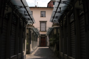 lucca029
