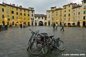 lucca15