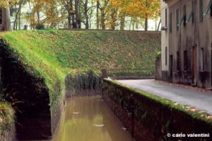 lucca154_30