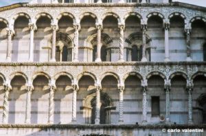 lucca154_35