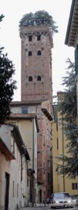 lucca162