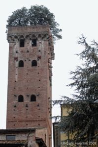 lucca163