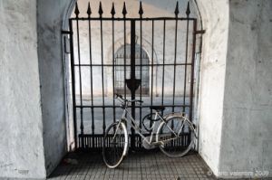 lucca172