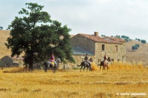 marsiliana986_12