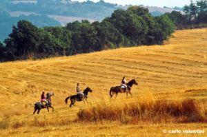 marsiliana986_24