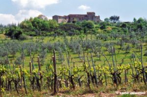 mercatale815_31