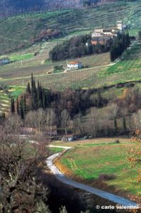 molin_del_piano161_48