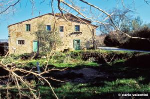 montagliari930_36