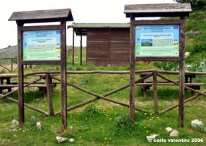 monte_labro029