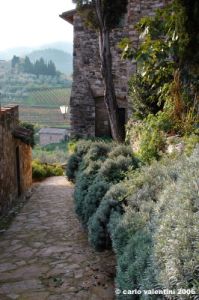 montefioralle07