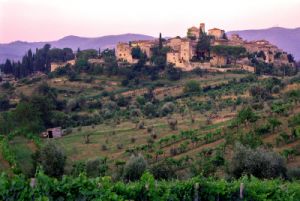 montefioralle860710a69