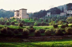 monteloro799_09