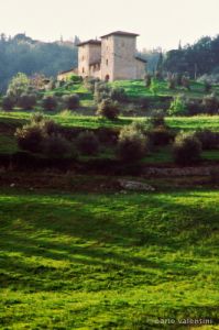 monteloro799_10