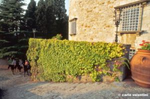 montemurlo995_44