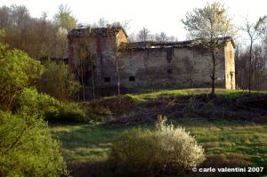 monterchi_primavera003