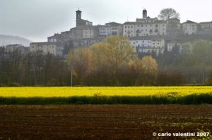 monterchi_primavera011