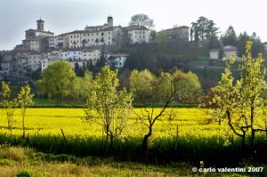 monterchi_primavera013