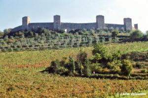 monteriggioni1018_42