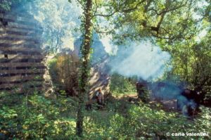 montespecchio1010_29