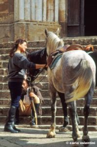 monticchiello1002_05