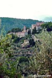 nipozzano02