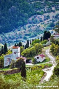 nipozzano06