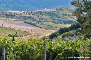 nipozzano09