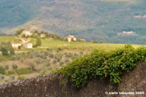 nipozzano20