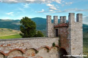 nipozzano33