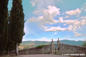 nipozzano36