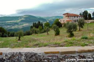 nipozzano37