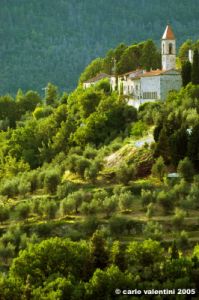 nipozzano43