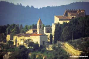 nipozzano485_43
