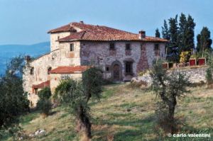 nipozzano_485_44