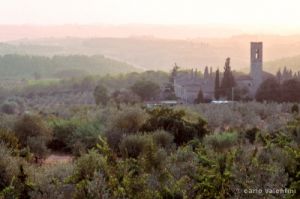 olivi874_06
