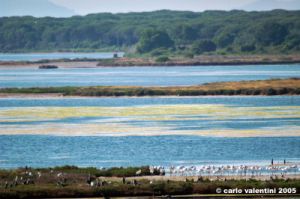orbetello02