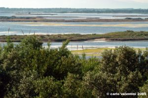 orbetello04