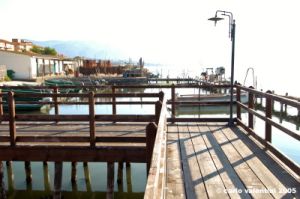 orbetello06