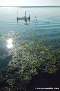 orbetello17