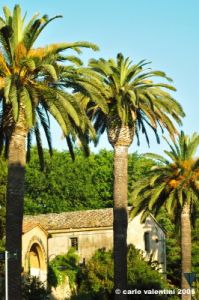 orbetello33