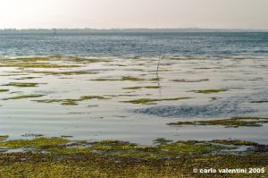 orbetello43