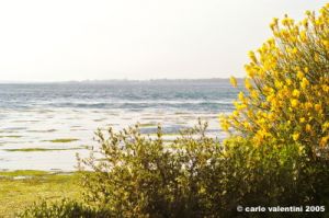 orbetello46