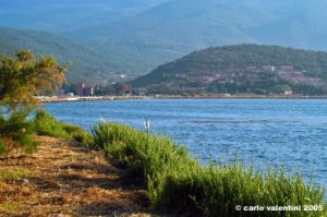 orbetello61