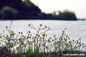 orbetello72