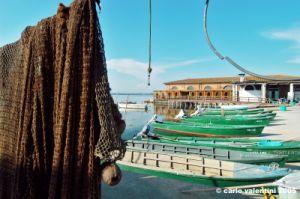 orbetello_pescatori39